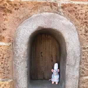 Meet your Posher, Abigail